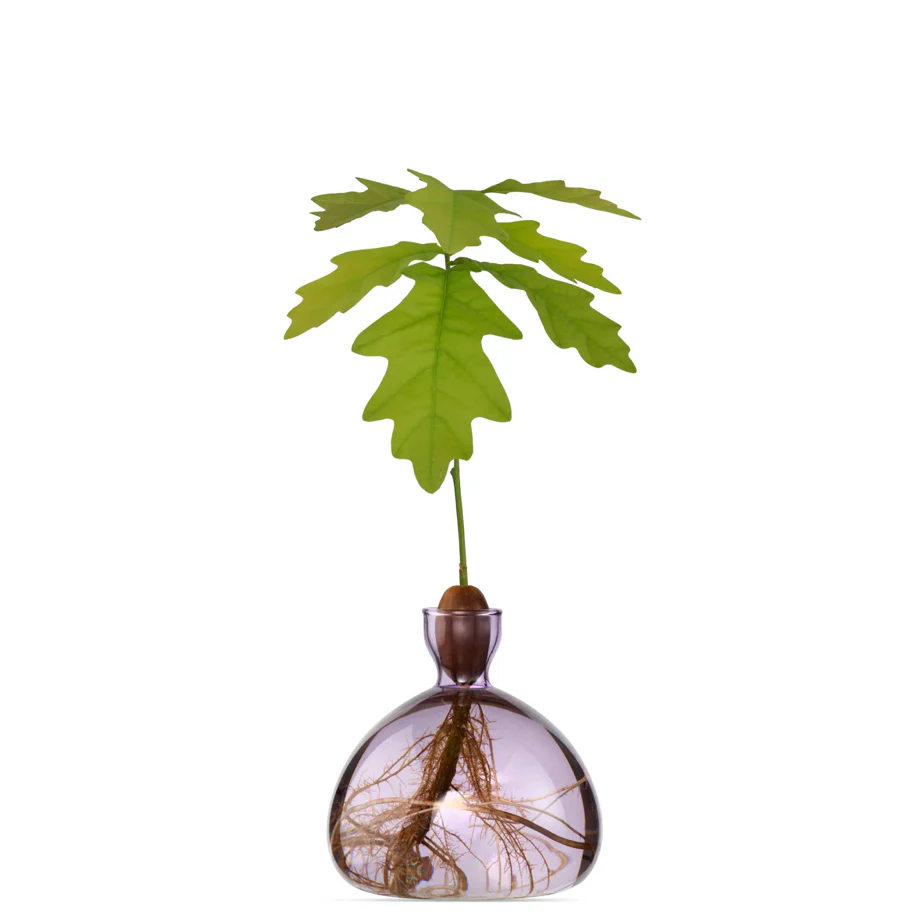 Acorn Vase - Image 2