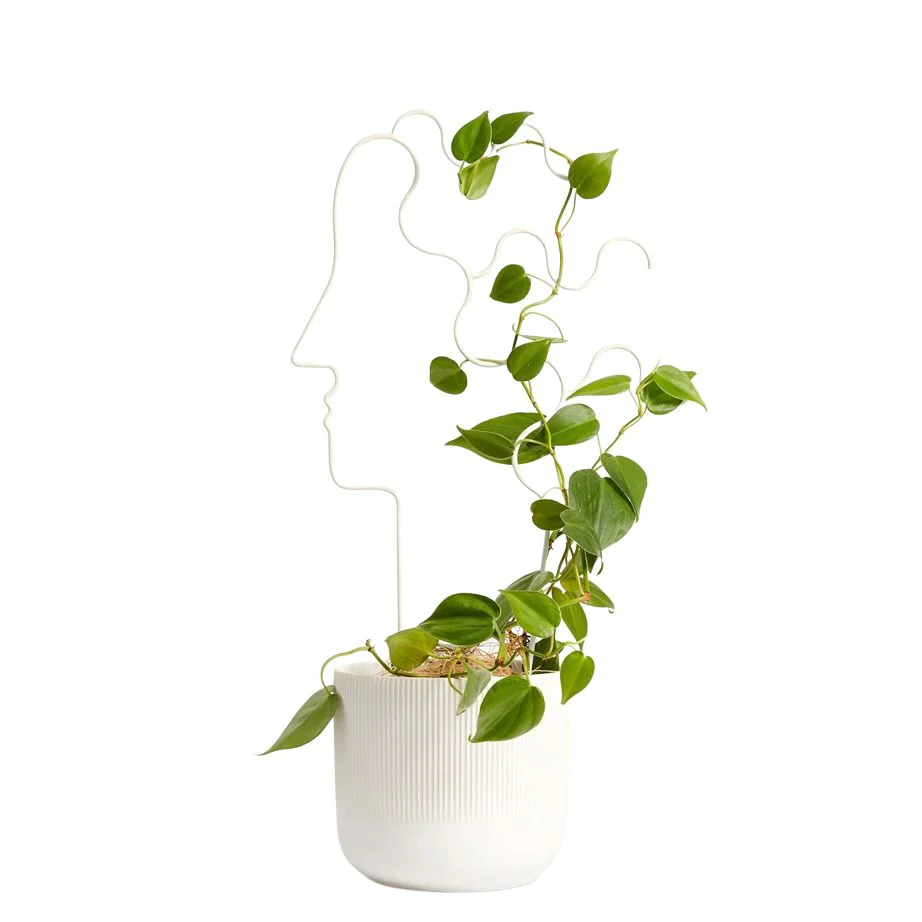 Areaware Plant Trellis - Image 3