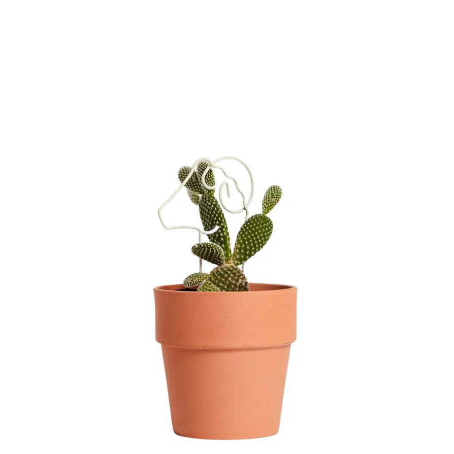 Areaware Plant Trellis - Image 4