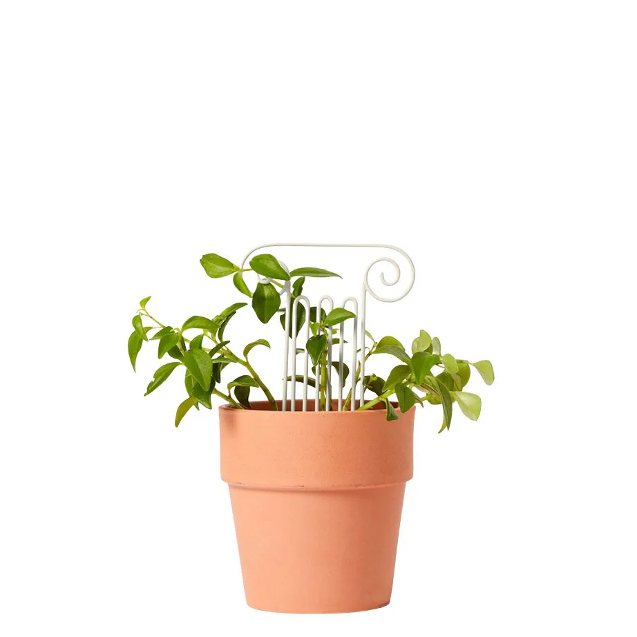 Areaware Plant Trellis - Image 5