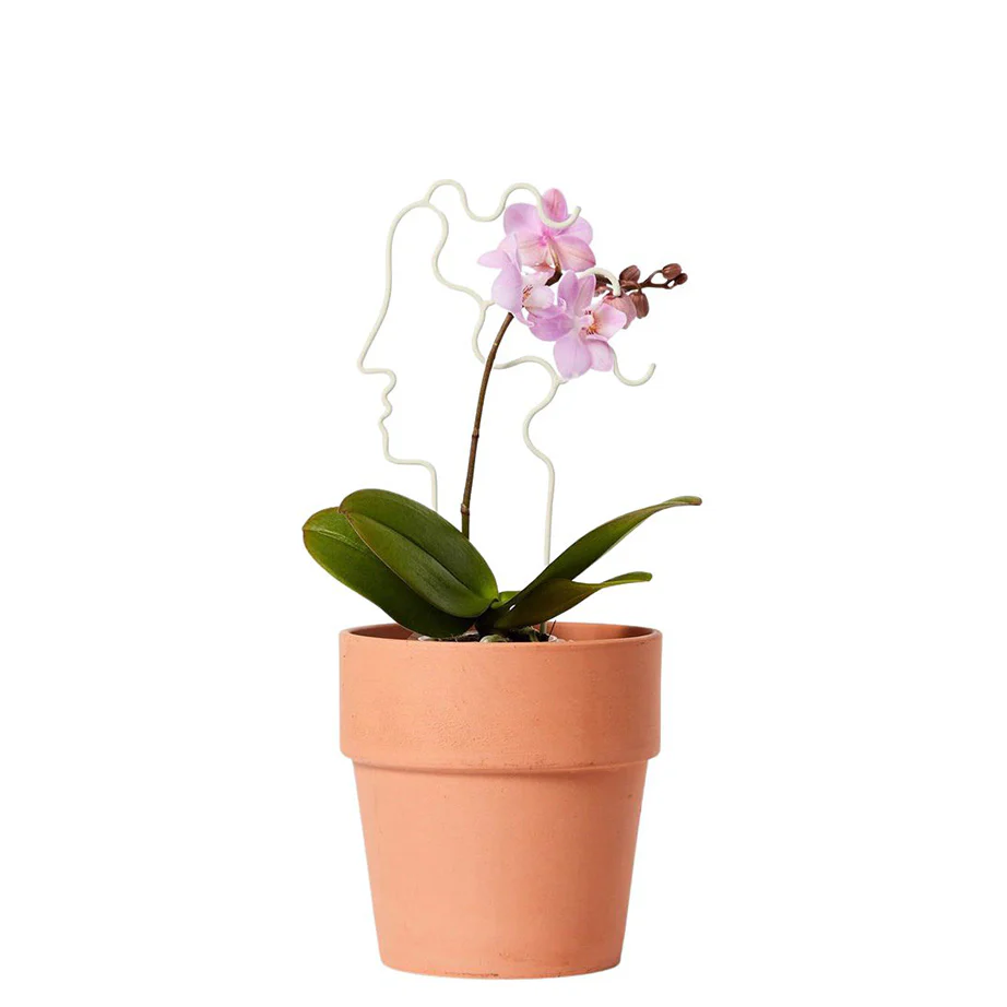 Areaware Plant Trellis - Image 6
