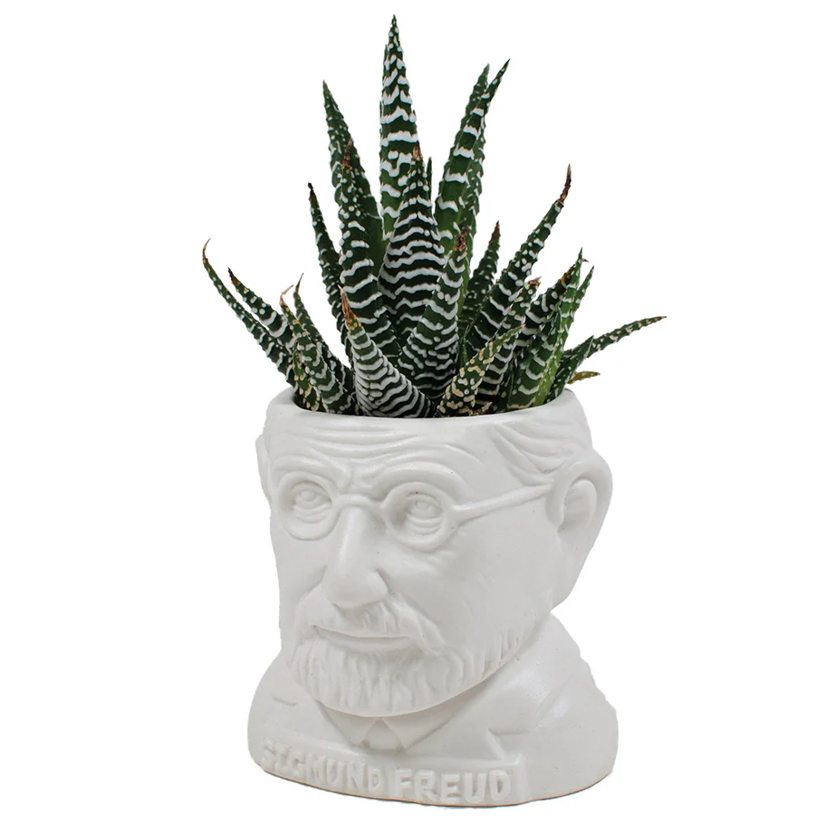Fertile Minds Planters - Image 6