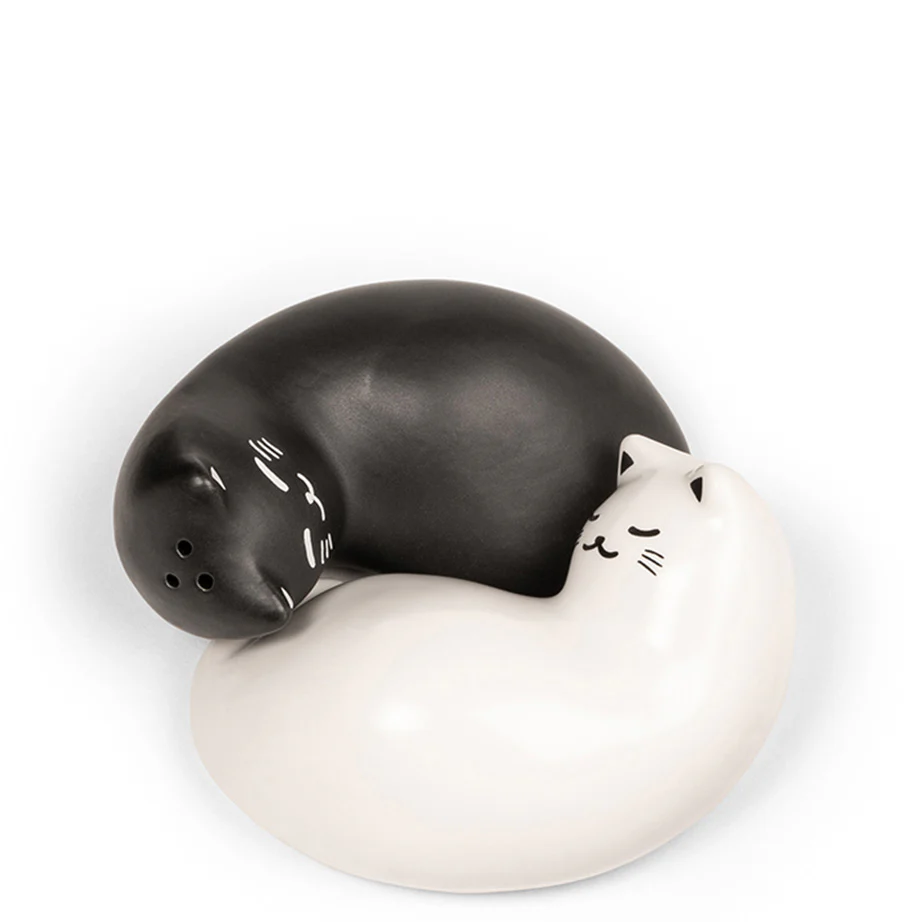 Purrfect Salt & Pepper Shakers