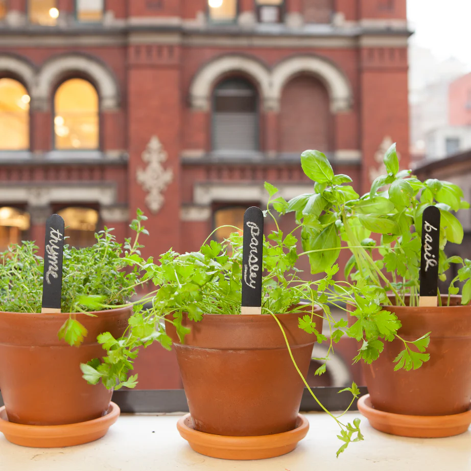 Reusable Garden Markers - Image 2