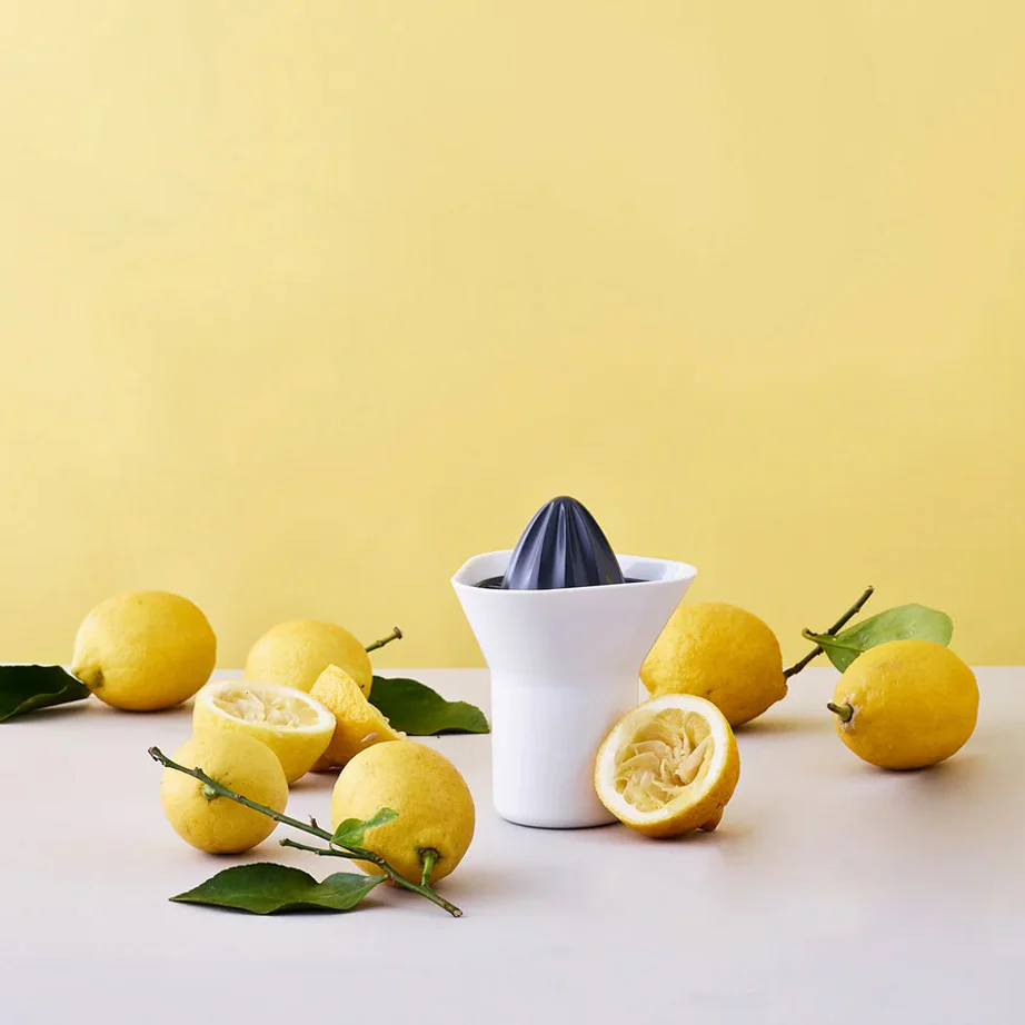 RIG-TIG Citrus Squeezer - Image 2