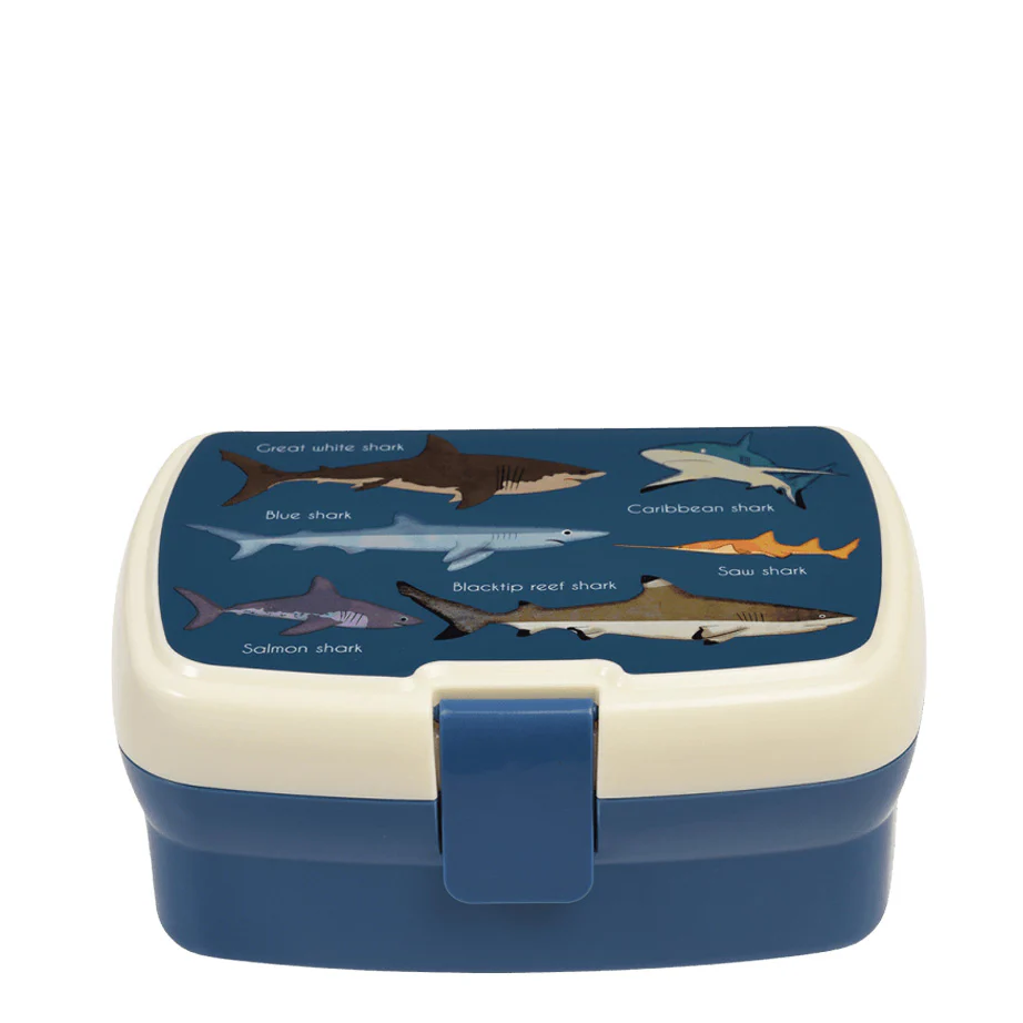 Shark Collection - Image 5