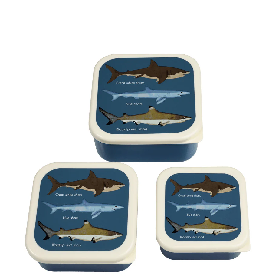 Shark Collection - Image 6