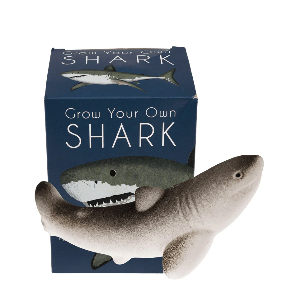 Shark Collection - Image 7