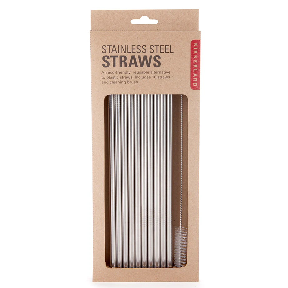 Stainless Steel Straws | Set of 10 - Image 3
