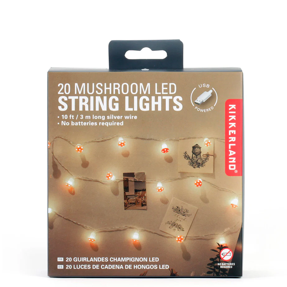 String Lights - Image 4