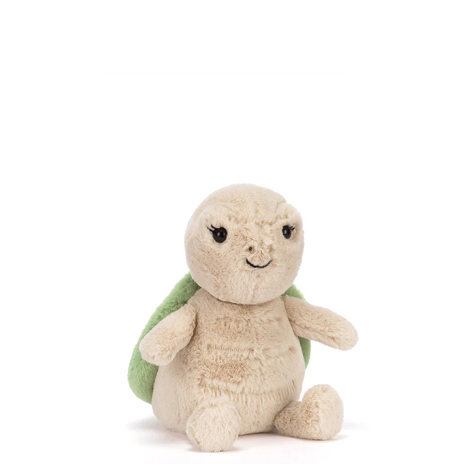 Thimble Turtle